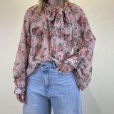 Img 2534