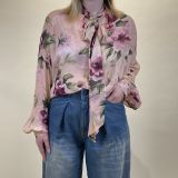 Img 4662